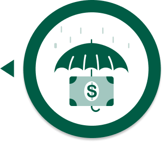 Fixed annuity icon